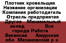 Плотник-кровельщик › Название организации ­ Компания-работодатель › Отрасль предприятия ­ Другое › Минимальный оклад ­ 30 000 - Все города Работа » Вакансии   . Амурская обл.,Мазановский р-н